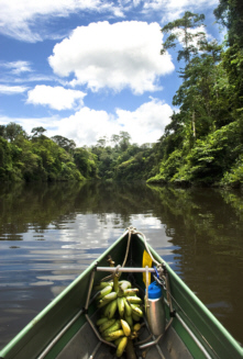 Canoeing in the Amazon, view of from of canoe